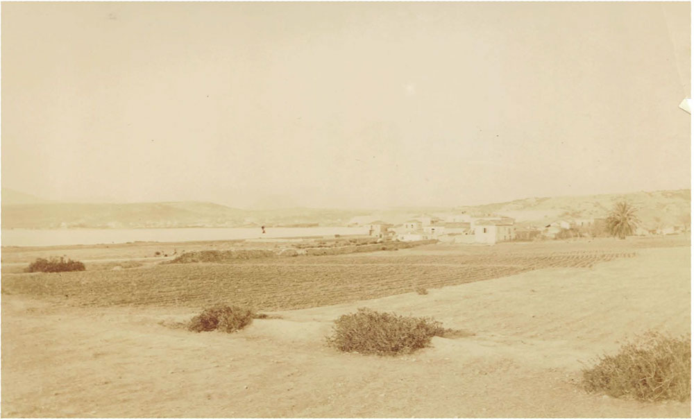 Isthmia