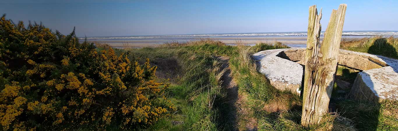 Shot with a dune and Utah beach in the background